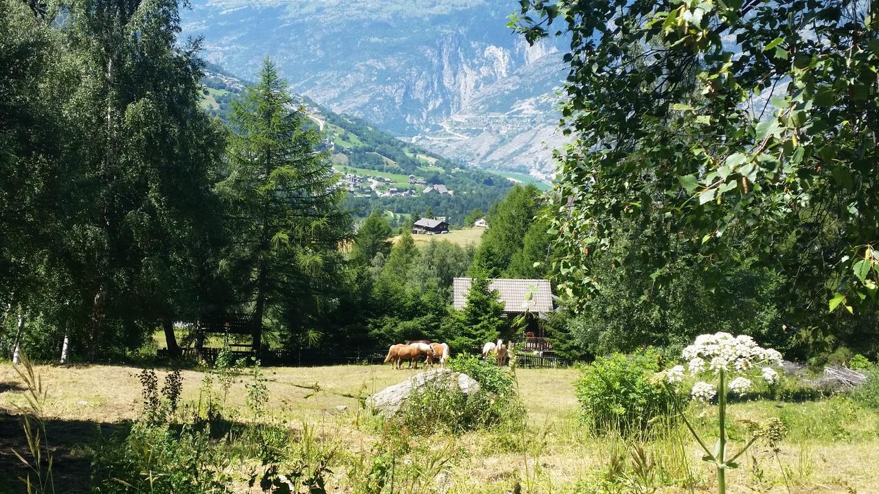 Chalet Bergmann Bürchen Εξωτερικό φωτογραφία