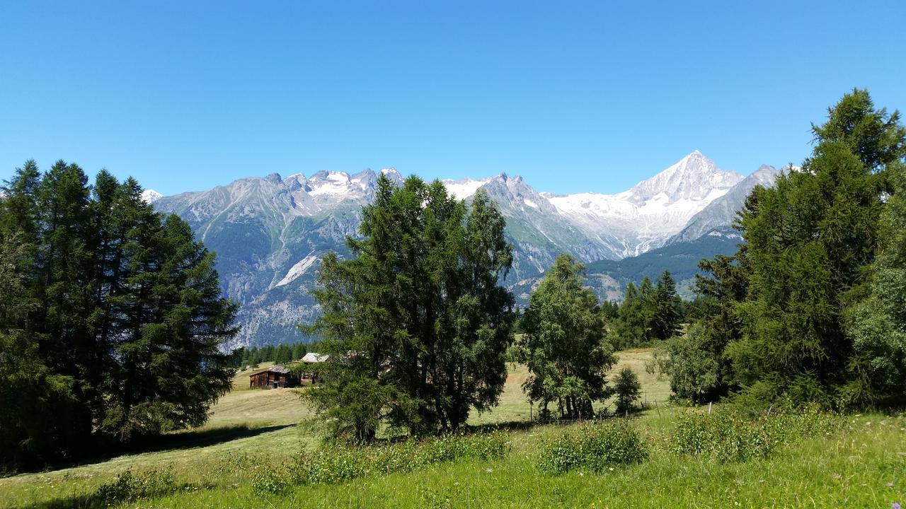 Chalet Bergmann Bürchen Εξωτερικό φωτογραφία