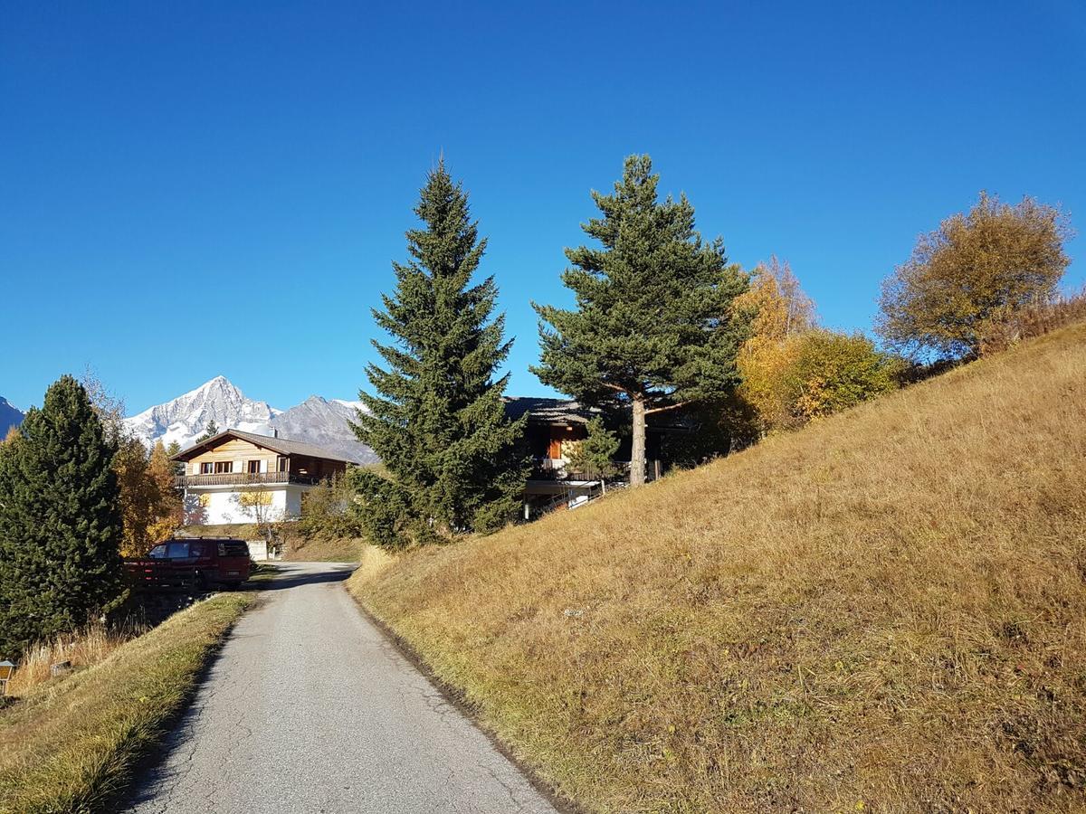 Chalet Bergmann Bürchen Εξωτερικό φωτογραφία