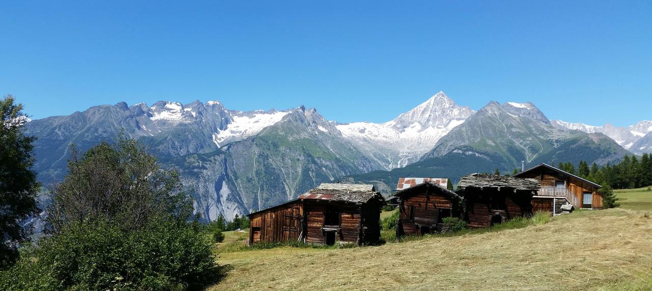 Chalet Bergmann Bürchen Εξωτερικό φωτογραφία