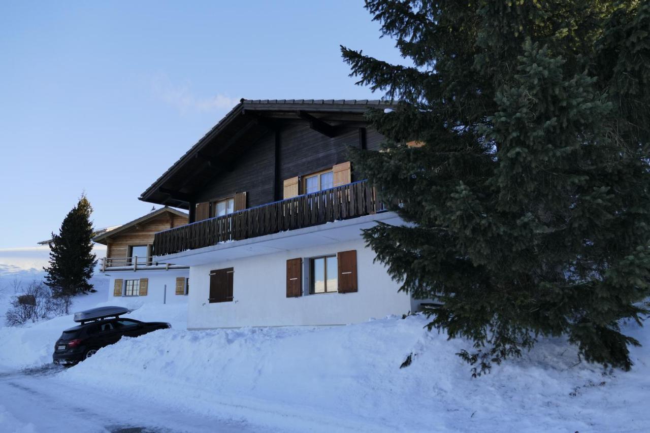 Chalet Bergmann Bürchen Εξωτερικό φωτογραφία